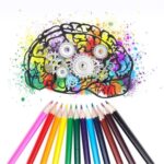 colori manuale istruzione