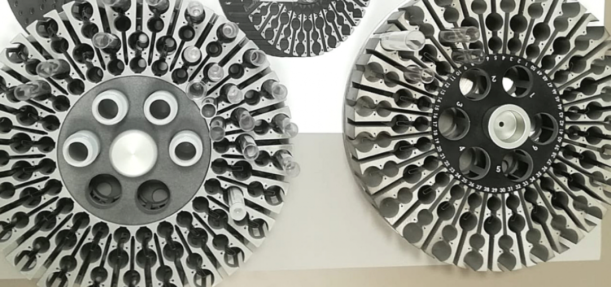 3DPrinting Everex componenti